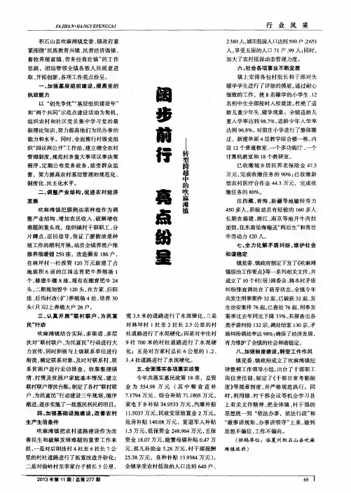 阔步前行亮点纷呈——转型跨越中的吹麻滩镇