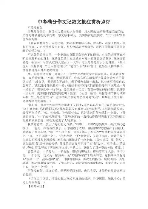 中考满分作文记叙文批注赏析点评