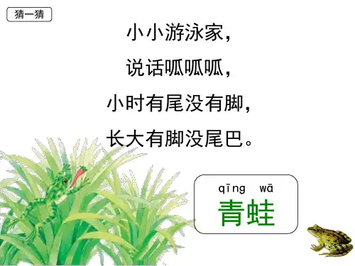小青蛙-ppt课件完美版