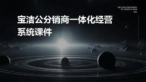 宝洁公分销商一体化经营系统课件