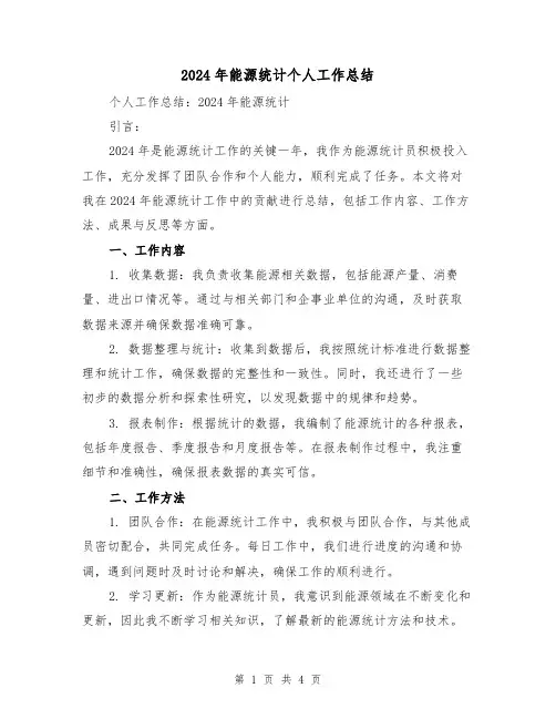 2024年能源统计个人工作总结(2篇)