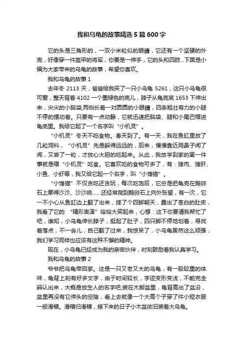 我和乌龟的故事精选5篇600字