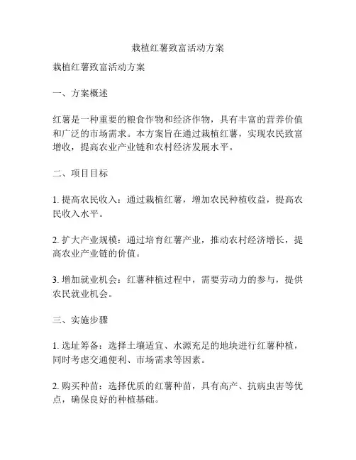 栽植红薯致富活动方案