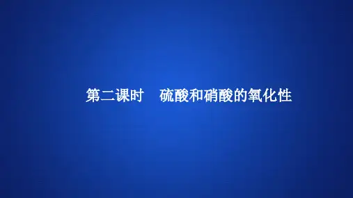 高中化学《硫酸和硝酸的氧化性》