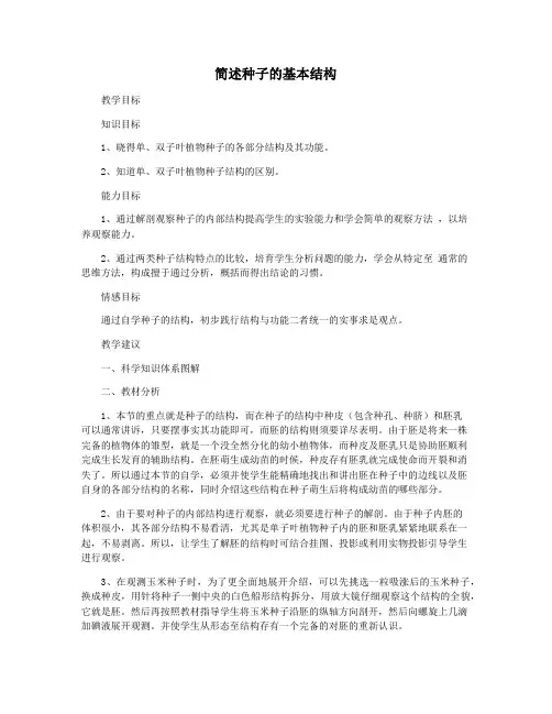简述种子的基本结构