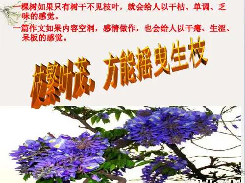 初中作文指导：记叙文升格指导：让细节丰富你的文章ppt(完美版)