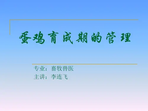 蛋鸡育成期的管理(精)