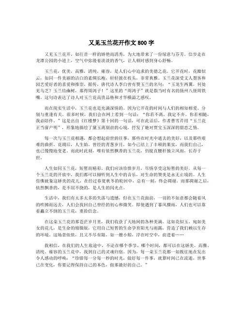 又见玉兰花开作文800字