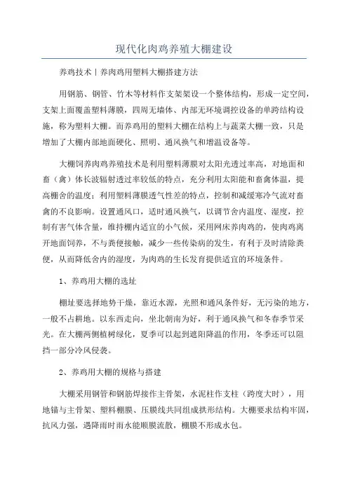 现代化肉鸡养殖大棚建设
