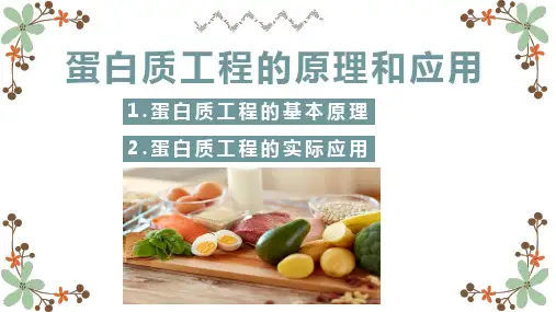 3.4  蛋白质工程的原理和应用课件2021-2022学年高二下学期生物人教版选择性必修3