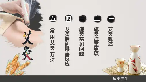 中国风中医艾灸养生保健宣传PPT模板(1)