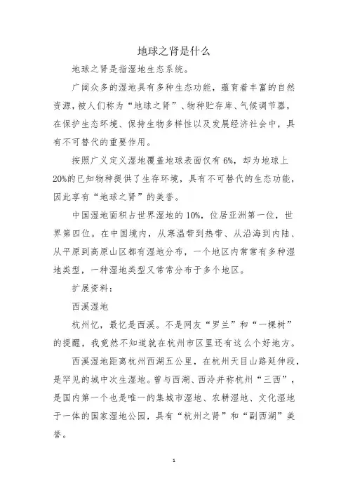 地球之肾是什么