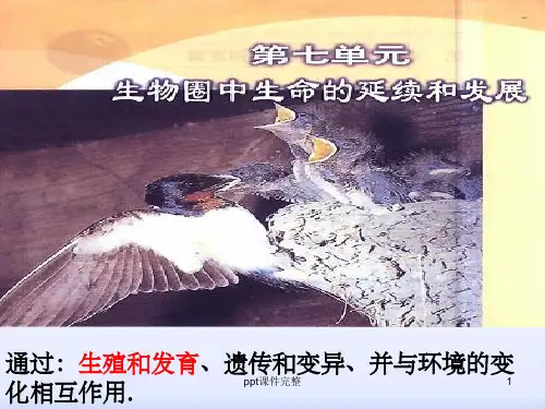人教版生物八年级下册《植物的生殖》PPT课件