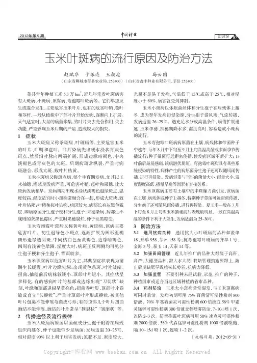 玉米叶斑病的流行原因及防治方法