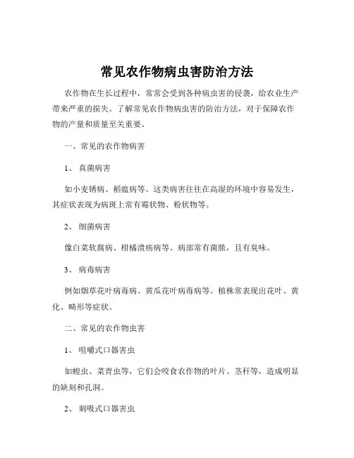 常见农作物病虫害防治方法