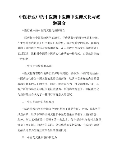 中医行业中的中医药中医药中医药文化与旅游融合
