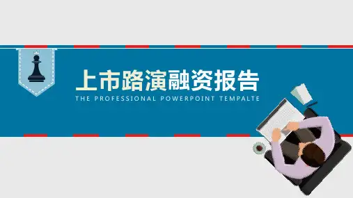 红蓝大气完美上市路演融资报告模板(2020)