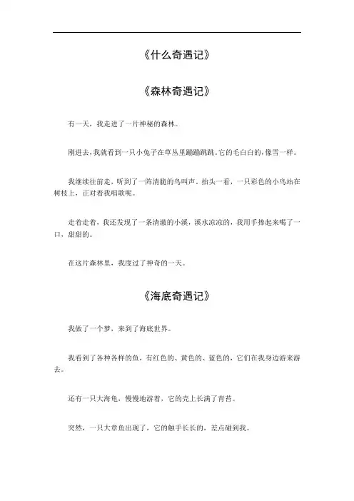 什么奇遇记作文初二600字