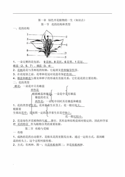 绿色开花植物地一生(知识点)