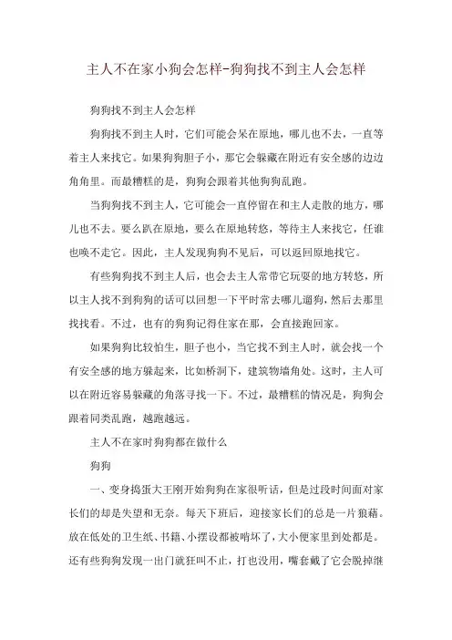 主人不在家小狗会怎样-狗狗找不到主人会怎样