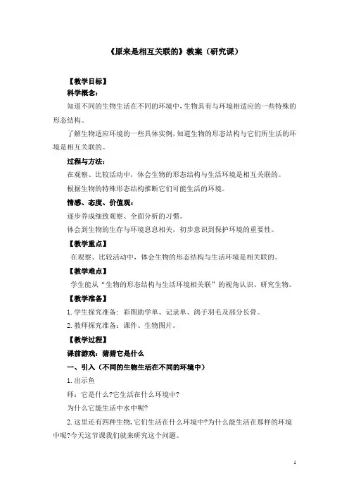 教科版小学科学《原来是相互关联的》教案(研究课)教案