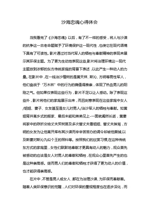 沙海忠魂心得体会