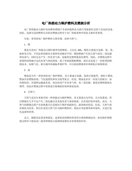 电厂热能动力锅炉燃料及燃烧分析