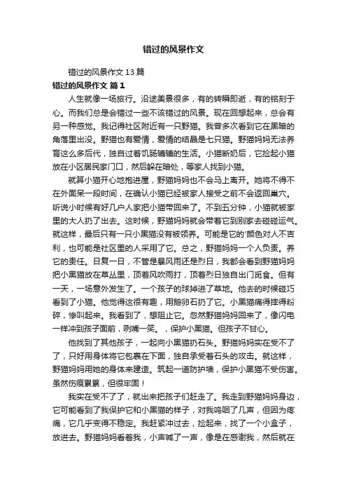 错过的风景作文