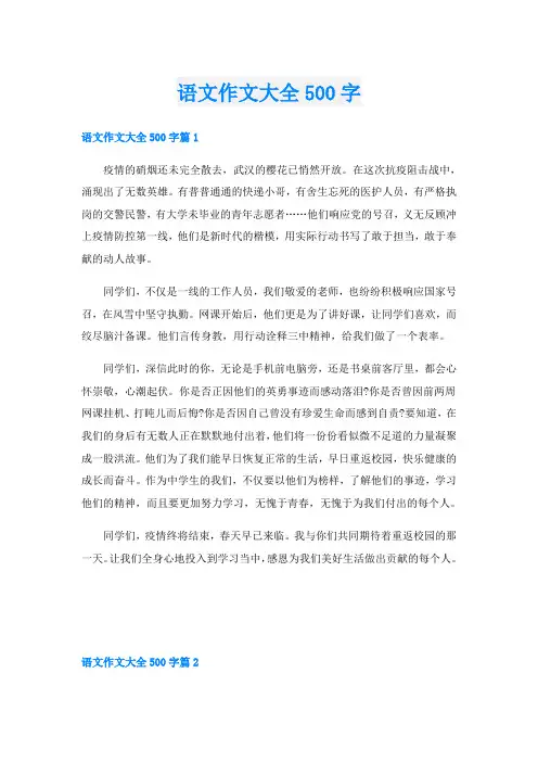 语文作文大全500字