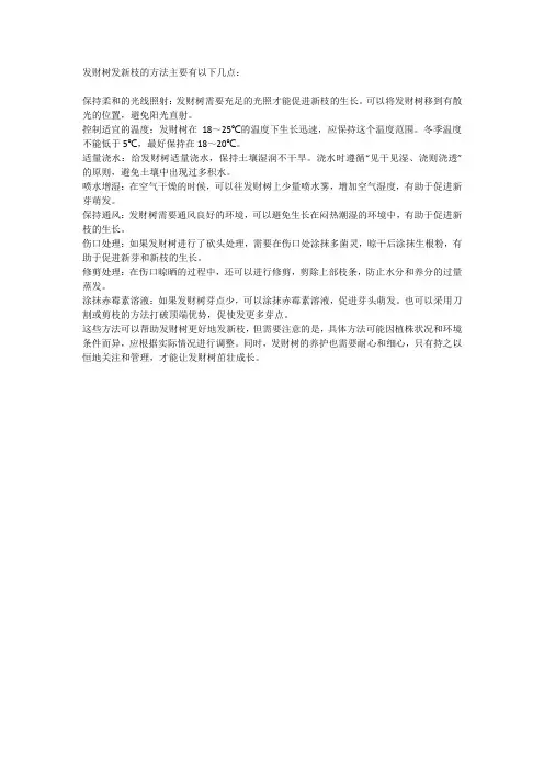 发财树发新枝的方法