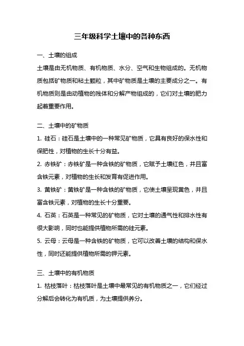 三年级科学土壤中的各种东西