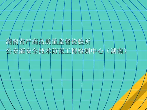 试谈公共安全体系的基本构成(ppt 64页)