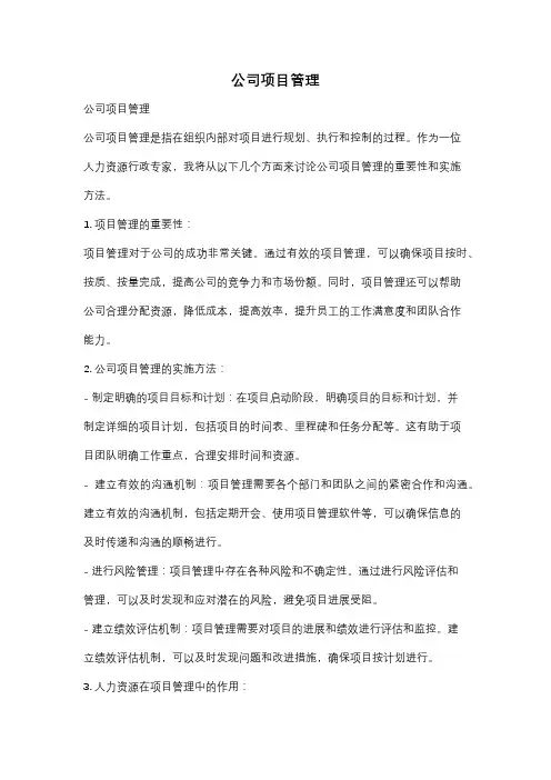 公司项目管理