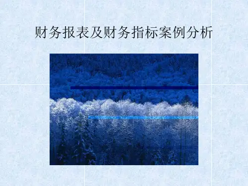企业财务报表及财务指标案例分析PPT课件