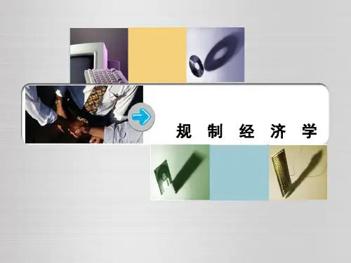 规制经济学(精品)