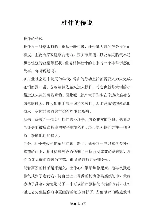 杜仲的传说 