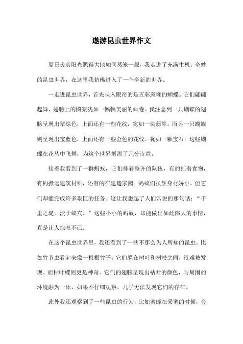 遨游昆虫世界作文