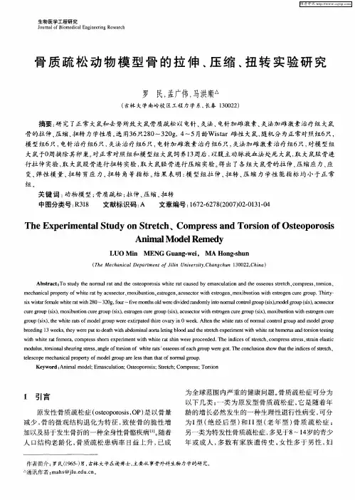 骨质疏松动物模型骨的拉伸、压缩、扭转实验研究