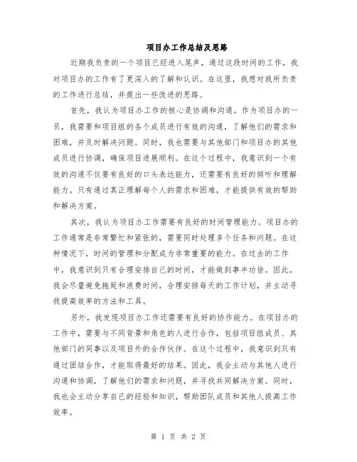 项目办工作总结及思路