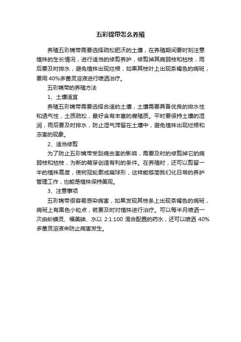 五彩锦带怎么养殖