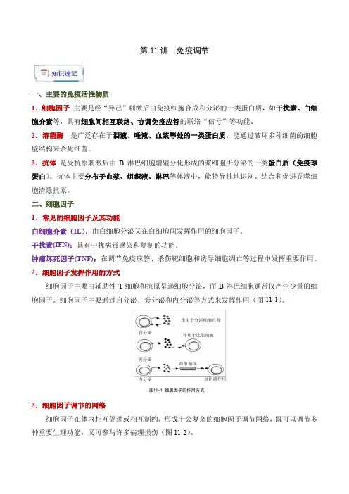 第11讲免疫调节-【拾遗补缺】备战2025年高考生物一轮复习知识清单速记与精练(江苏专用)