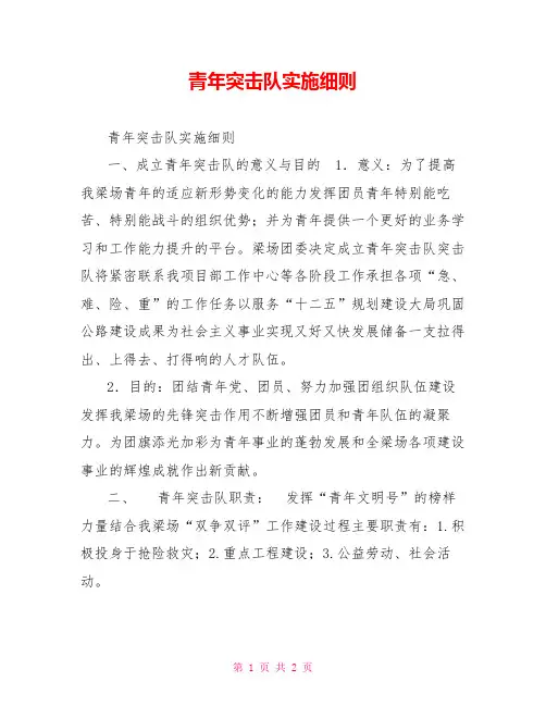 青年突击队实施细则
