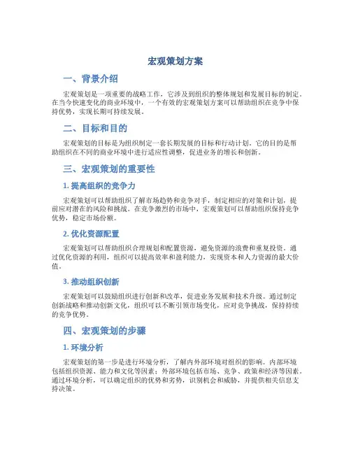 宏观策划方案