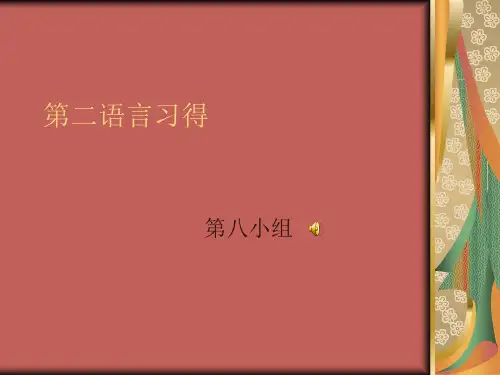 二语习得 中介语