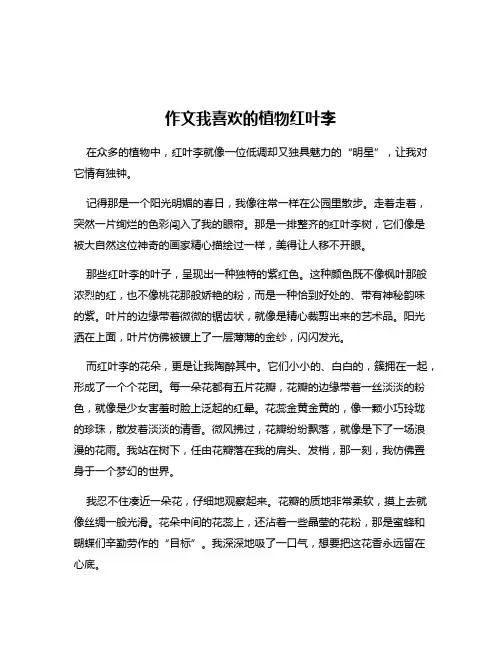 作文我喜欢的植物红叶李