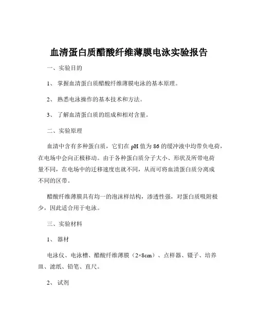 血清蛋白质醋酸纤维薄膜电泳实验报告