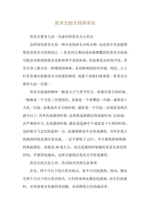 贵宾犬幼犬饲养常识