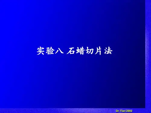 实验八石蜡切片法一