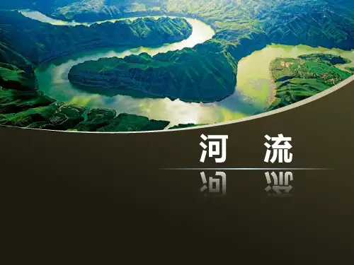 高考专题复习：河流(共49张PPT)