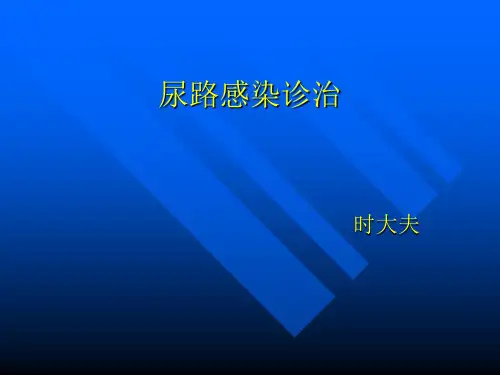 尿路感染诊治